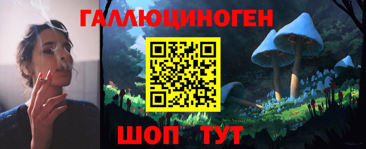 Псилоцибиновые грибы Psilocybe Протвино