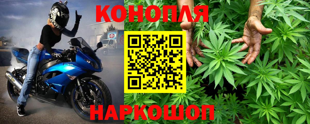  COCAIN Протвино